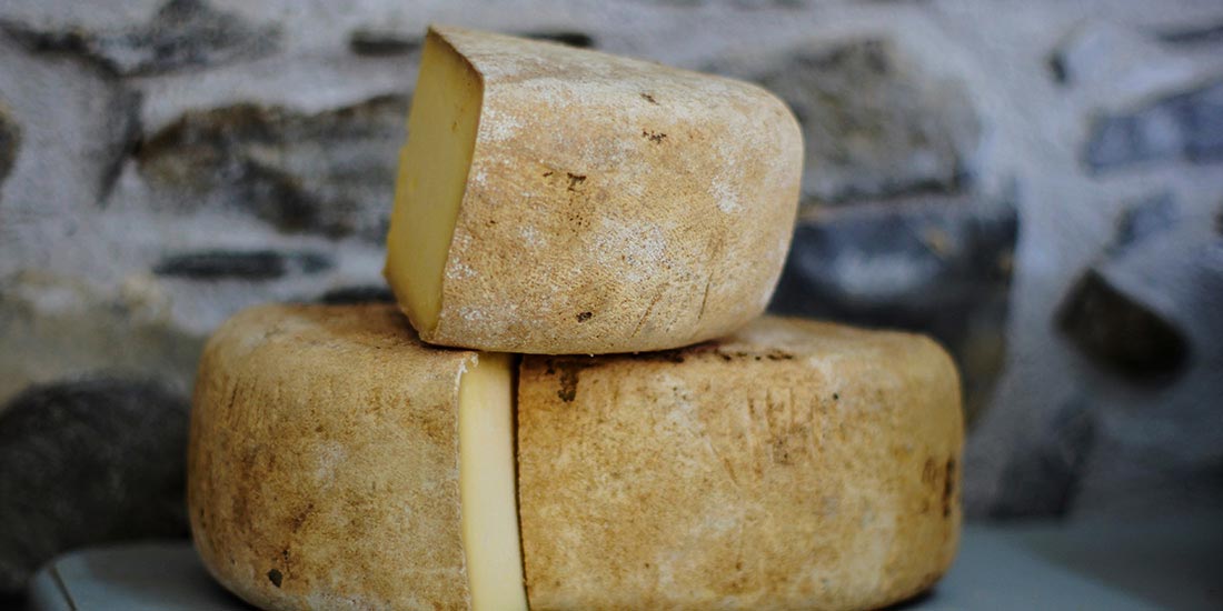 Mountain Cheese - Galangal - Pyrenees - spain - travel