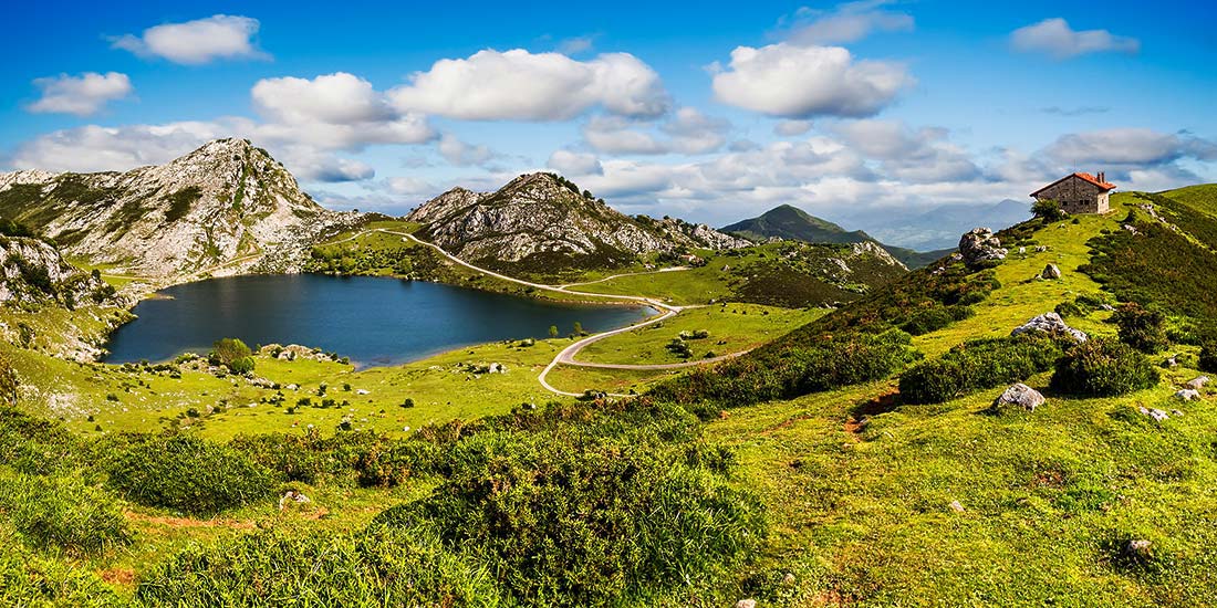 Mountain Cheese - Galangal - Pyrenees - spain - travel