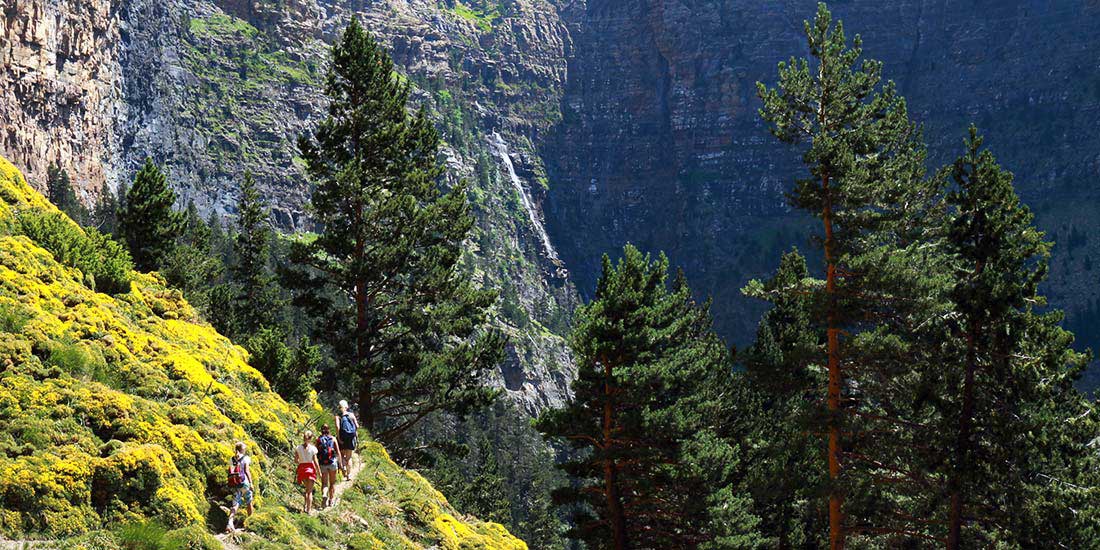 Mountain Cheese - Galangal - Pyrenees - spain - travel