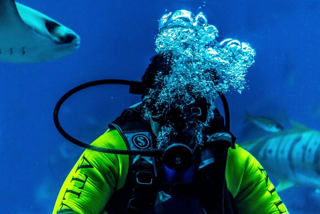 scuba diving in La Palma in Spain in winter