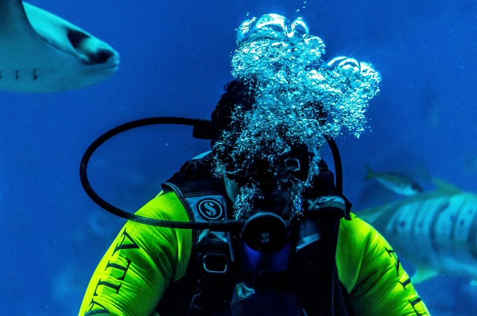 scuba diving in La Palma in Spain in winter